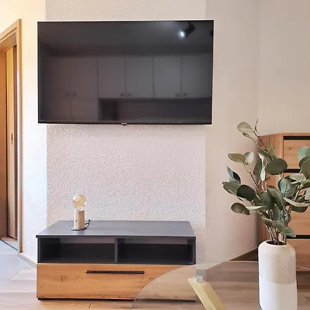 Apartment Waldblick Todtmoos