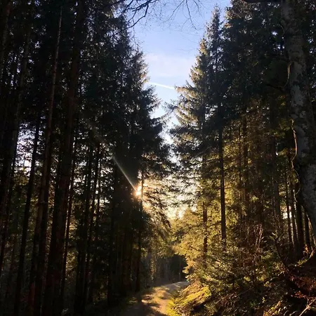 Waldblick * Todtmoos