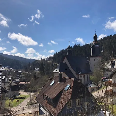 Waldblick