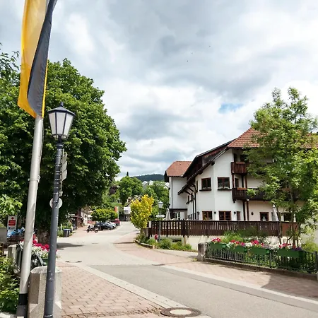 Apartment Waldblick Todtmoos