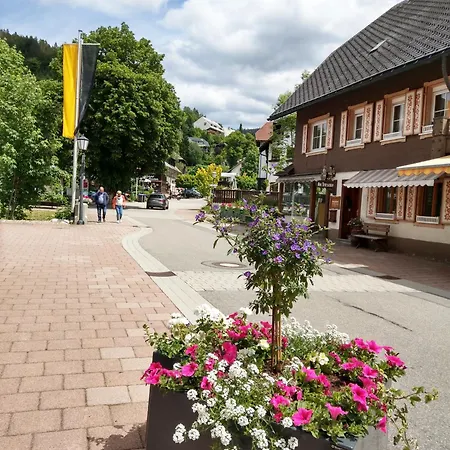Waldblick