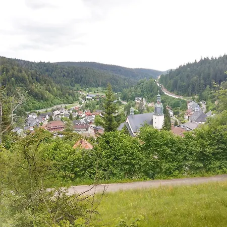 Waldblick