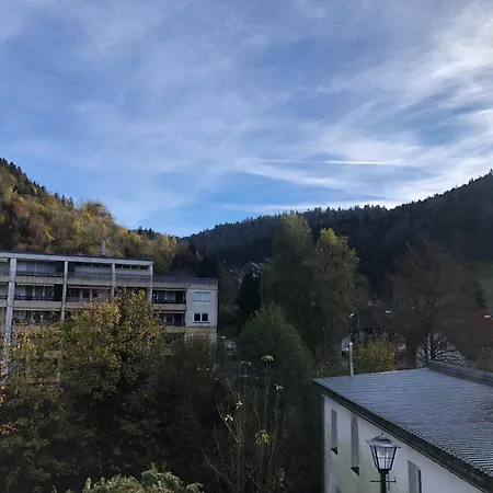 Waldblick شقة تودموس