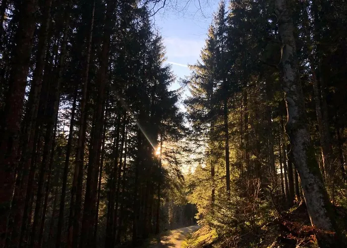 Waldblick * Todtmoos