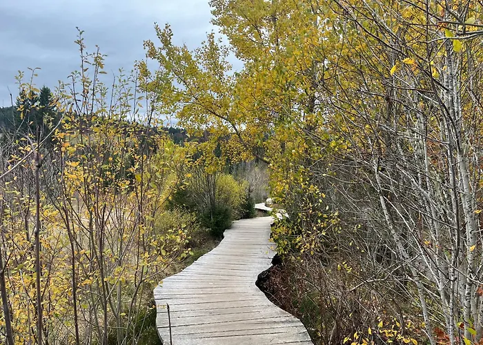 Waldblick * Todtmoos