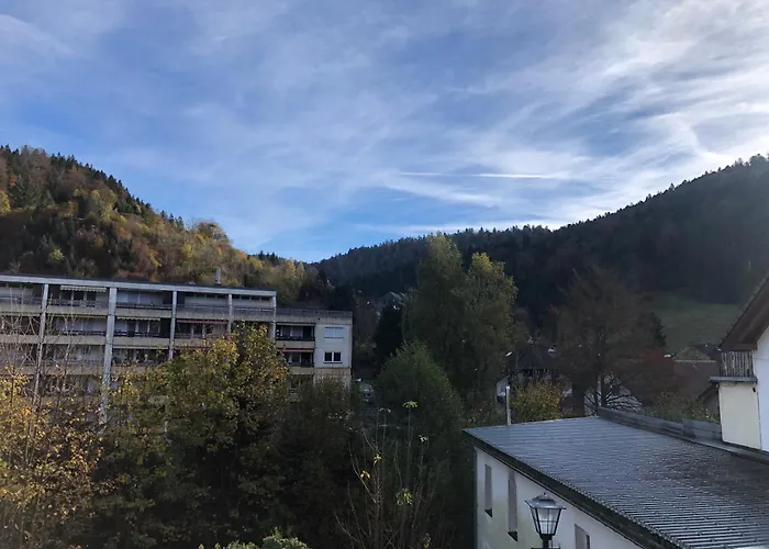 Waldblick Apartment Todtmoos