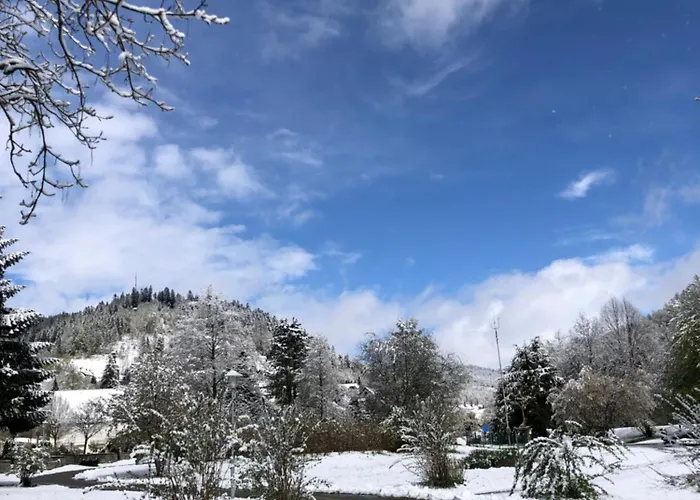 Waldblick Apartment Todtmoos